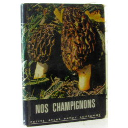 Nos champignons