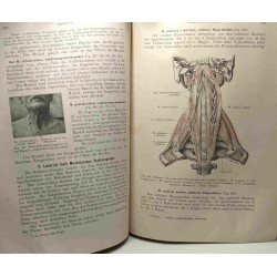 Lehrbuch der anatomie für zahnärzte und studierende der zahnheilkunde