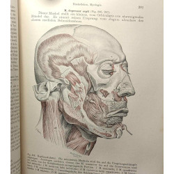 Lehrbuch der anatomie für zahnärzte und studierende der zahnheilkunde