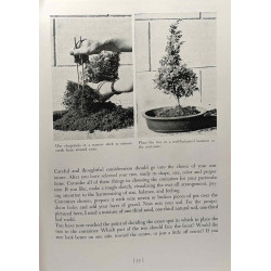 The art of growing miniature trees plants and landscapes