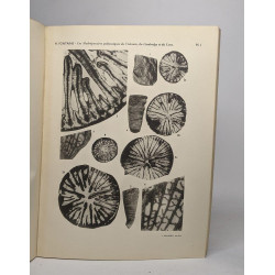 Lot de 3 "Archives géologiques du Viêt-Nam": Numéro 5- 6 - 7