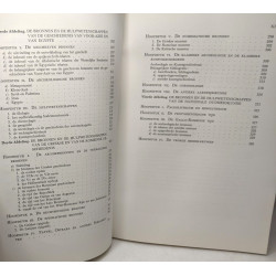 Encyclopedie van de geschiedenis prehistorie oudheid