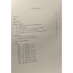 Spätantiker gemäldezyklus in Gaza - Studi e testi 89
