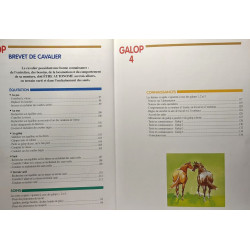 Manuel des examens d'équitation - Galops 1 à 4 édition 1999 + Etre...