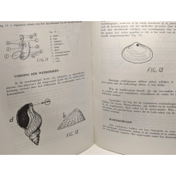 De Duinen n°10 5e jaargang/année - bulletin du centre scientifique...