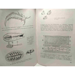 De Duinen n°10 5e jaargang/année - bulletin du centre scientifique...
