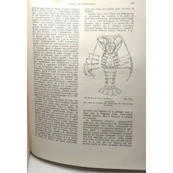Encyclopédie belge