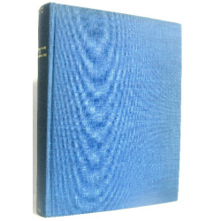 Dictionnaire de psychanalyse. Un point de vue critique