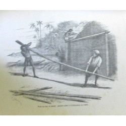 La mission de Mona