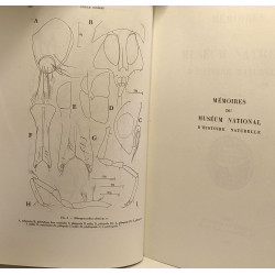 Contribution à l'étude de la faune interstitielle isopodes et...