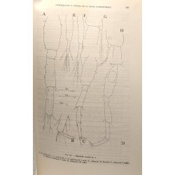 Contribution à l'étude de la faune interstitielle isopodes et...