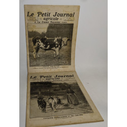 Lot de 18 numéros de l'hebdomadaire "le petit journal garicole et...