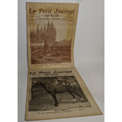 Lot de 18 numéros de l'hebdomadaire "le petit journal garicole et...