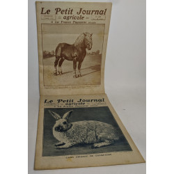 Lot de 18 numéros de l'hebdomadaire "le petit journal garicole et...