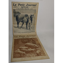Lot de 18 numéros de l'hebdomadaire "le petit journal garicole et...