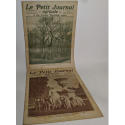 Lot de 18 numéros de l'hebdomadaire "le petit journal garicole et...