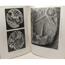 Scripta minora / Annales universitatis saraviensis BAND 1