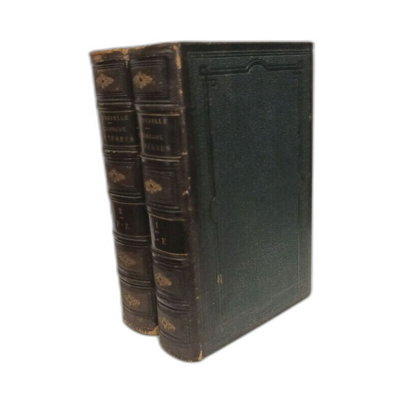 Dictionnaire usuel de tous les verbes français : tant réguliers...