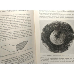 Chronique d'Egypte - bulletin périodique de la fondation...