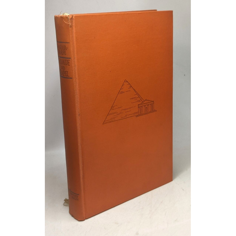 Pyramide und tempel notizen während einer reise nach ägypten...