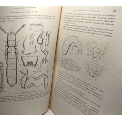 Contribution à la connaissance de la faune cavernicole et endogée...