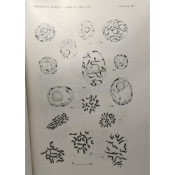 Contribution à la caryologie de quelques végétaux cultivés dans...