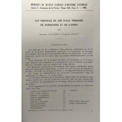 Les minerais de fer d'âge primaire de Normandie et de l'Anjou /...