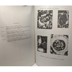 Les minerais de fer d'âge primaire de Normandie et de l'Anjou /...
