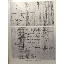 Papyri bruxellenses graecae - VOLUME I: 1-21 Papyrus du Nome Prosopite