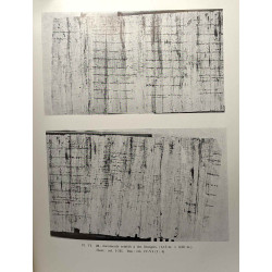 Papyri bruxellenses graecae - VOLUME I: 1-21 Papyrus du Nome Prosopite