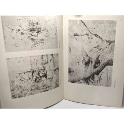 De Jérôme Bosch à Rembrandt - Dessins hollandais du XVIe au XVIIe...