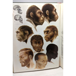 TOME X mammifères 1 + TOME XI mammifères 2 - Le monde animal en 13...