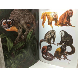 TOME X mammifères 1 + TOME XI mammifères 2 - Le monde animal en 13...