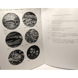 La pétrologie des tonstein du Houiller belge - Extrait du Bull. de...