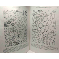 Mycologia belgica 1986 - Actes du Colloque de Mycologie MONS...