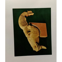 Himera - I - campagne di scavo 1963 - 1965 - istituto di...