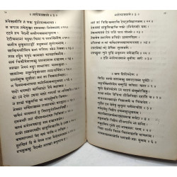 Elementarbuch Der Sanskrit-Sprache: Grammatik Text Worterbuch