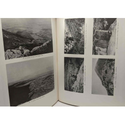 Mycenae an archeoological history and guide