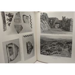 Mycenae an archeoological history and guide