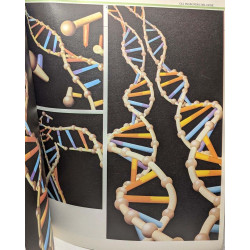 Gli ingegneri del gene - Parte 1 + Parte 2 / Frontiere della Scienza