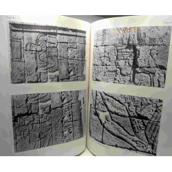 Der Löwentempel von Naq'a in der Butana (Sudan) III - Die...