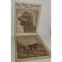 Lot de 17 numéros de l'hebdomadaire "Le petit journal agricole et...