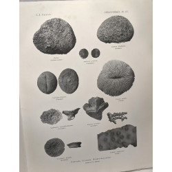 Cahiers de paléonthologie 4 volumes : embranchement ds coelentérés...