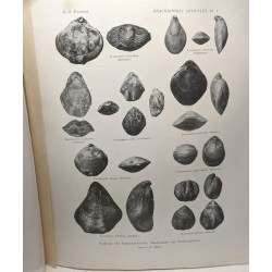 Cahiers de paléonthologie 4 volumes : embranchement ds coelentérés...