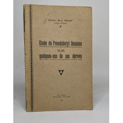 Etude du pseudobutyl benzène et de quelques-uns de ses dérivés