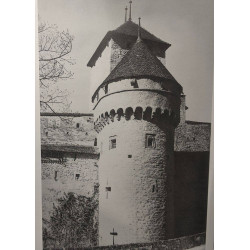 Vibiscum - les annales veveysannes n°9