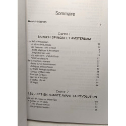 Destins et aventures de l'intellect juif en France 1650-1945