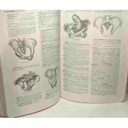 Stedman's medical dictionary - 19th revised edition