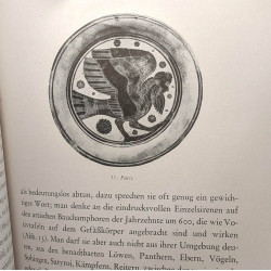 Die musen des Jenseits