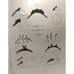 The iron age culture of latium - I/ classifcation and analysis...